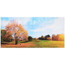 Bild 1 von Euroart Keilrahmenbild bäume  Lb-Wag1026  Mehrfarbig