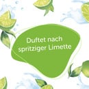 Bild 4 von Alterra Duschgel "Bio-Limette & Bio-Agave"