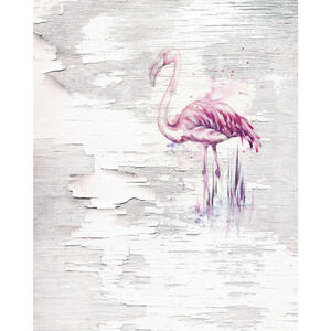 Komar Vliestapete  6007A-Vd2 Pink Flamingo  Flamingo