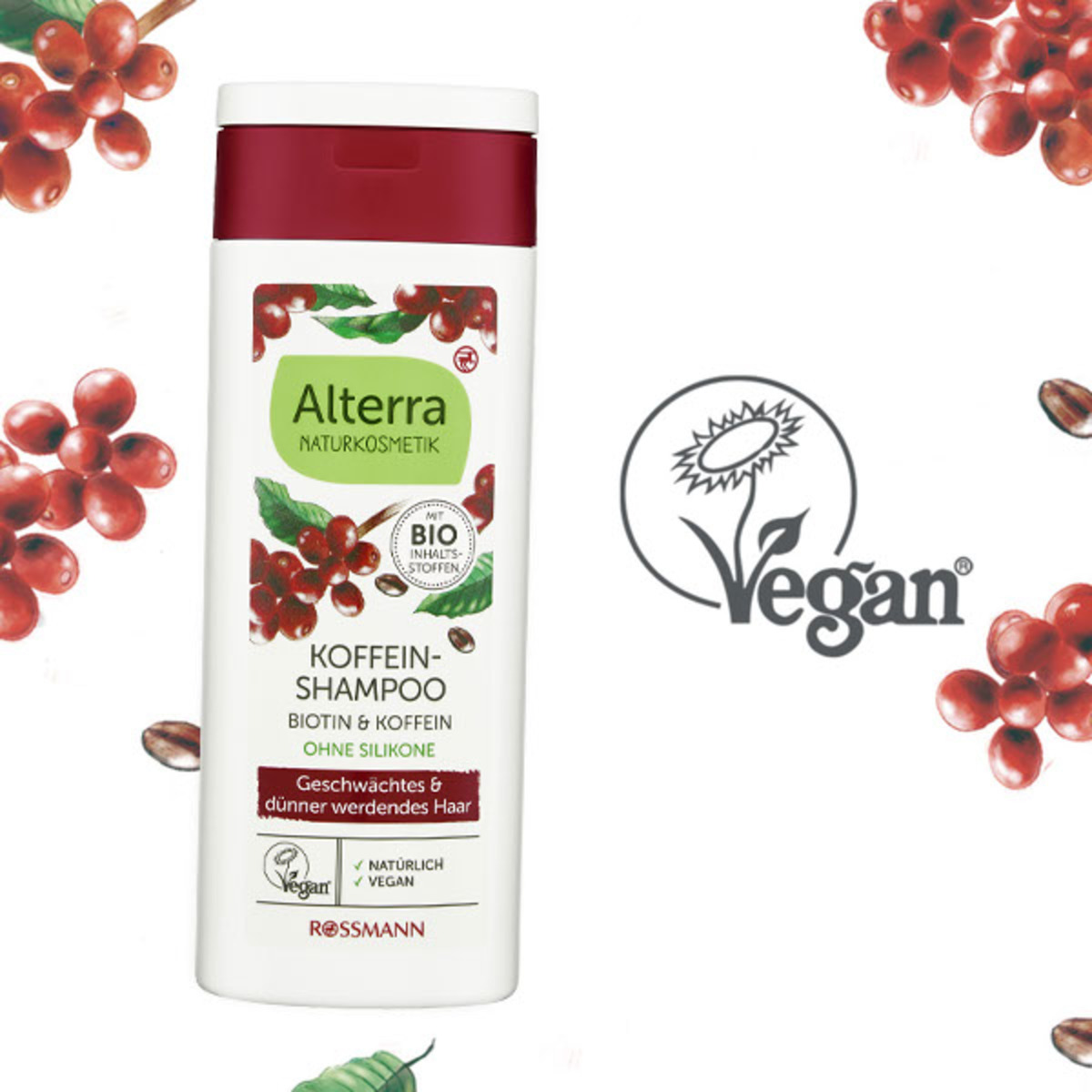 Bild 2 von Alterra Koffein-Shampoo Biotin & Koffein 0.85 EUR/ 100 ml