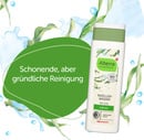 Bild 4 von Alterra NATURKOSMETIK Mizellenwasser Bio-Alge