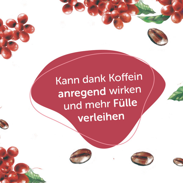 Bild 4 von Alterra Koffein-Shampoo Biotin & Koffein 0.85 EUR/ 100 ml