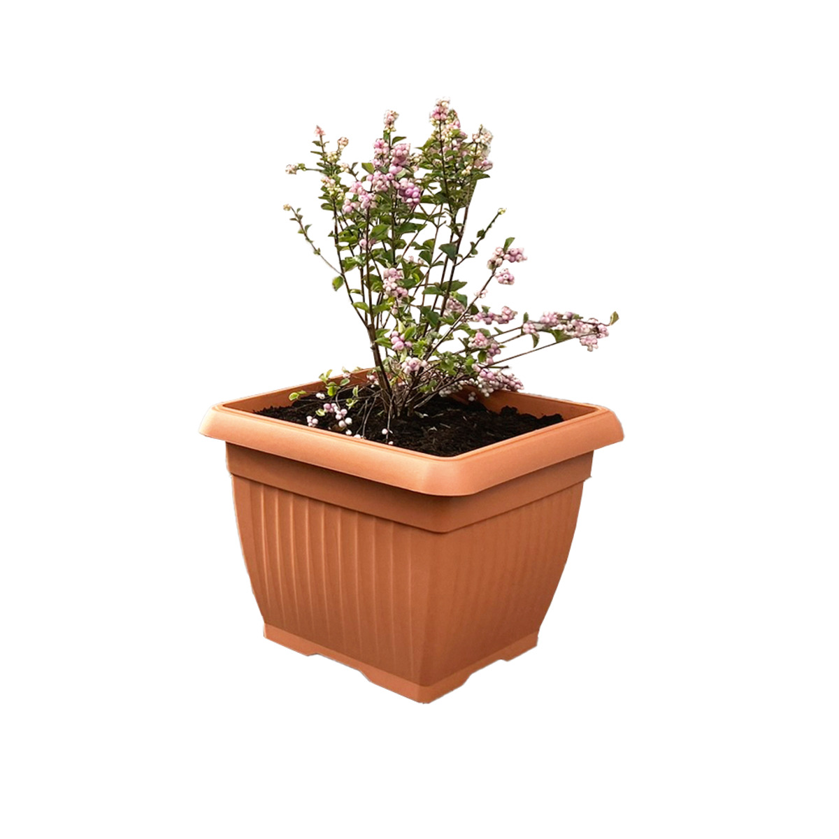 Bild 1 von Powertec Garden Pflanztopf "Lucca" - Eckig, Terrakotta, ca. 45 x 45 x 35 cm