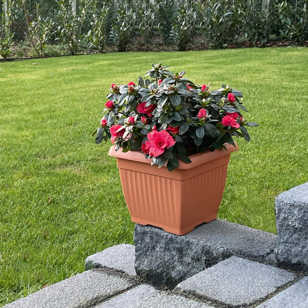Bild 2 von Powertec Garden Pflanztopf "Lucca" - 2er-Set, Terrakotta, je ca. 24 x 24 x 20 cm, Eckig