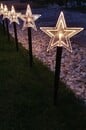 Bild 2 von Star-Max LED-Leuchtstäbe Stern 10 Erdspieße