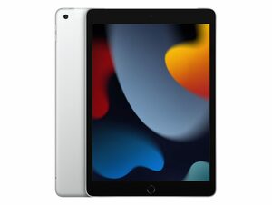 Apple iPad (2021), mit WiFi & Cellular, 64 GB, silber