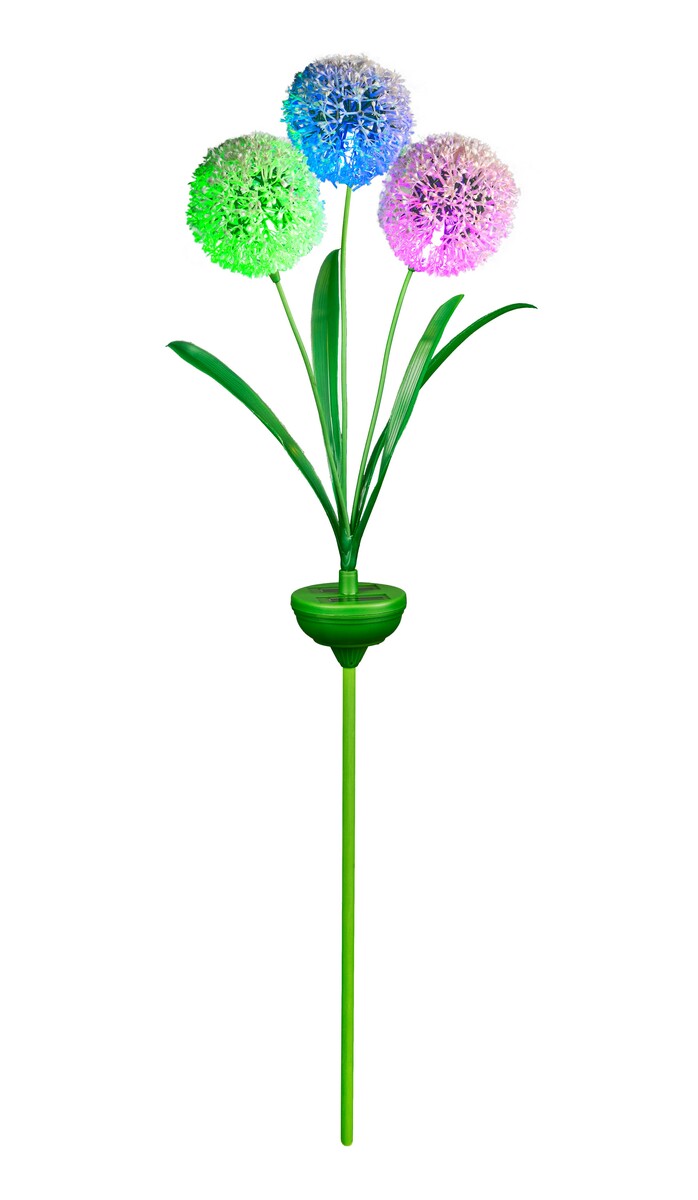 Bild 1 von I-Glow LED-Solar-Pusteblume 3 RGB LEDs mit weißen Köpfen