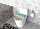 Bild 1 von Duschwell Duroplast WC-Sitz mit Motiv Seestern