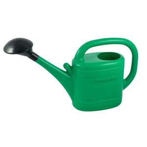 Gießkanne 5 Liter grün aus Kunststoff mit Brause