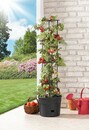 Bild 1 von Powertec Garden Tomatenturm anthrazit