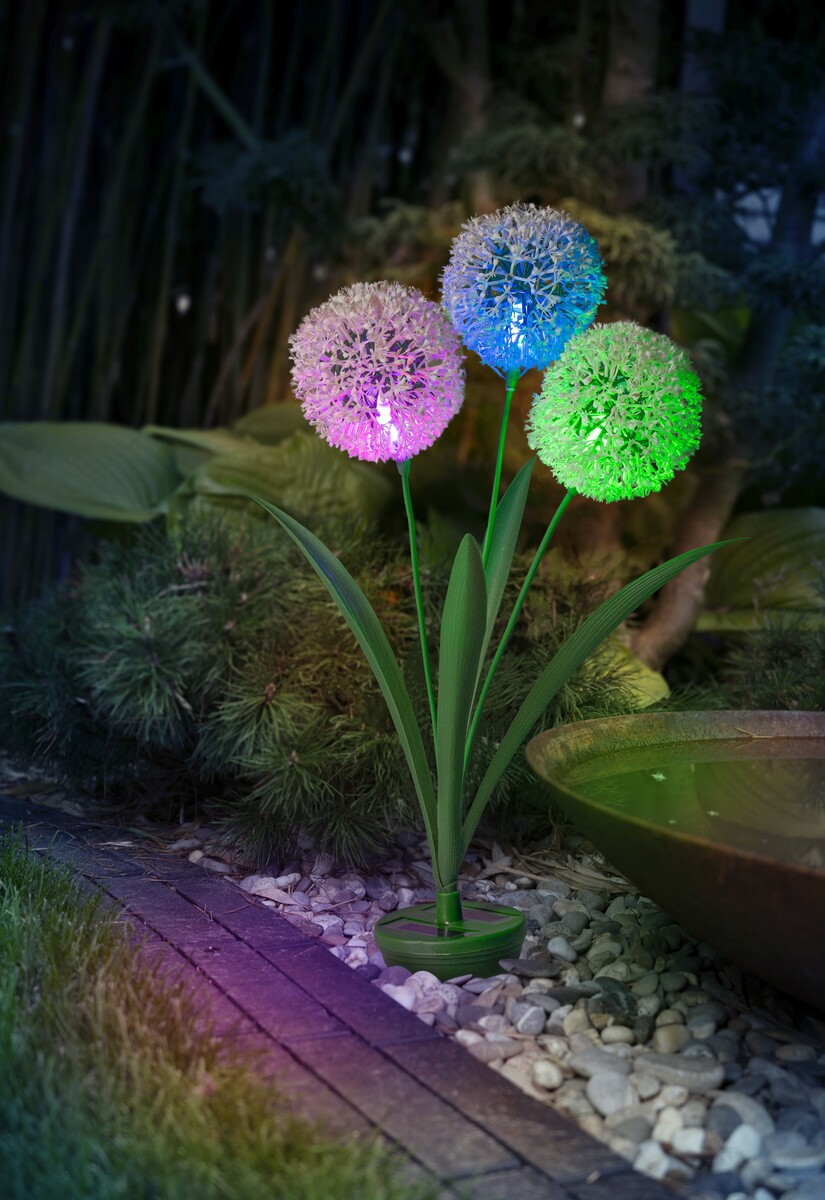 Bild 3 von I-Glow LED-Solar-Pusteblume 3 RGB LEDs mit weißen Köpfen