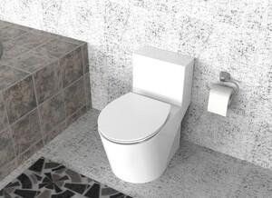 Duschwell Duroplast WC-Sitz weiß Smart