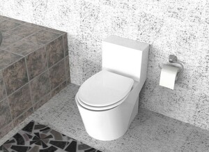 Duschwell Duroplast WC-Sitz weiß Easy