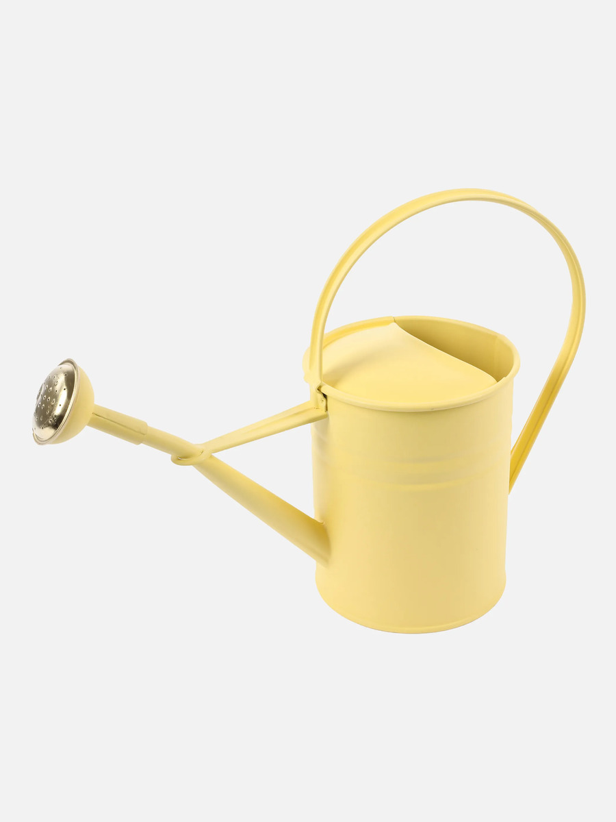 Bild 1 von Metall-Gießkanne, pastellfarbig, Höhe24cm
                 
                                                        Gelb