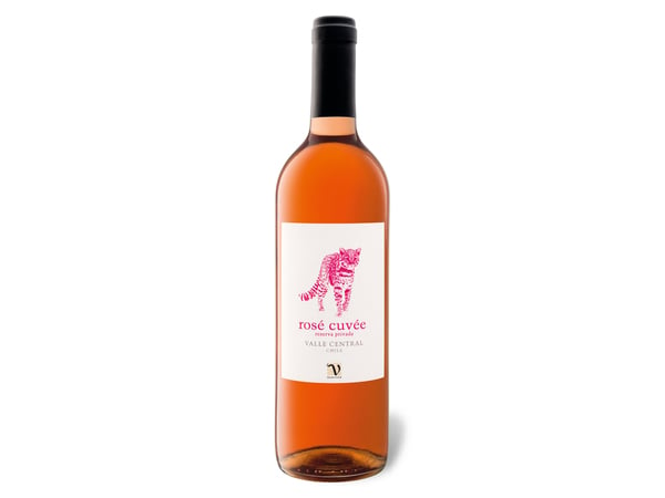 Bild 1 von VIAJERO Rosé Cuvée Valle Central Reserva Privada trocken, Roséwein 2020