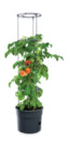 Bild 3 von Powertec Garden Tomatenturm anthrazit