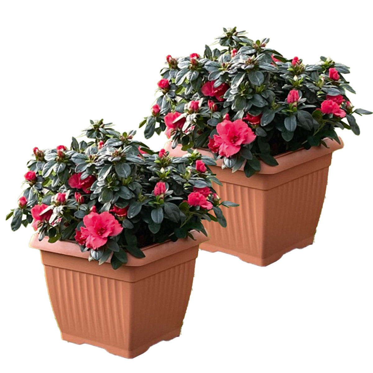 Bild 1 von Powertec Garden Pflanztopf "Lucca" - 2er-Set, Terrakotta, je ca. 24 x 24 x 20 cm, Eckig
