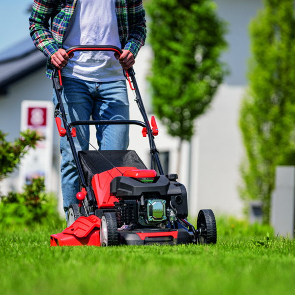 Bild 2 von Scheppach 6 in 1 Benzin-Rasenmäher MS226-53 SE