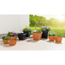 Bild 3 von Powertec Garden Pflanztopf "Lucca" - 2er-Set, Anthrazit, Eckig, je ca. 30 x 30 x 25 cm