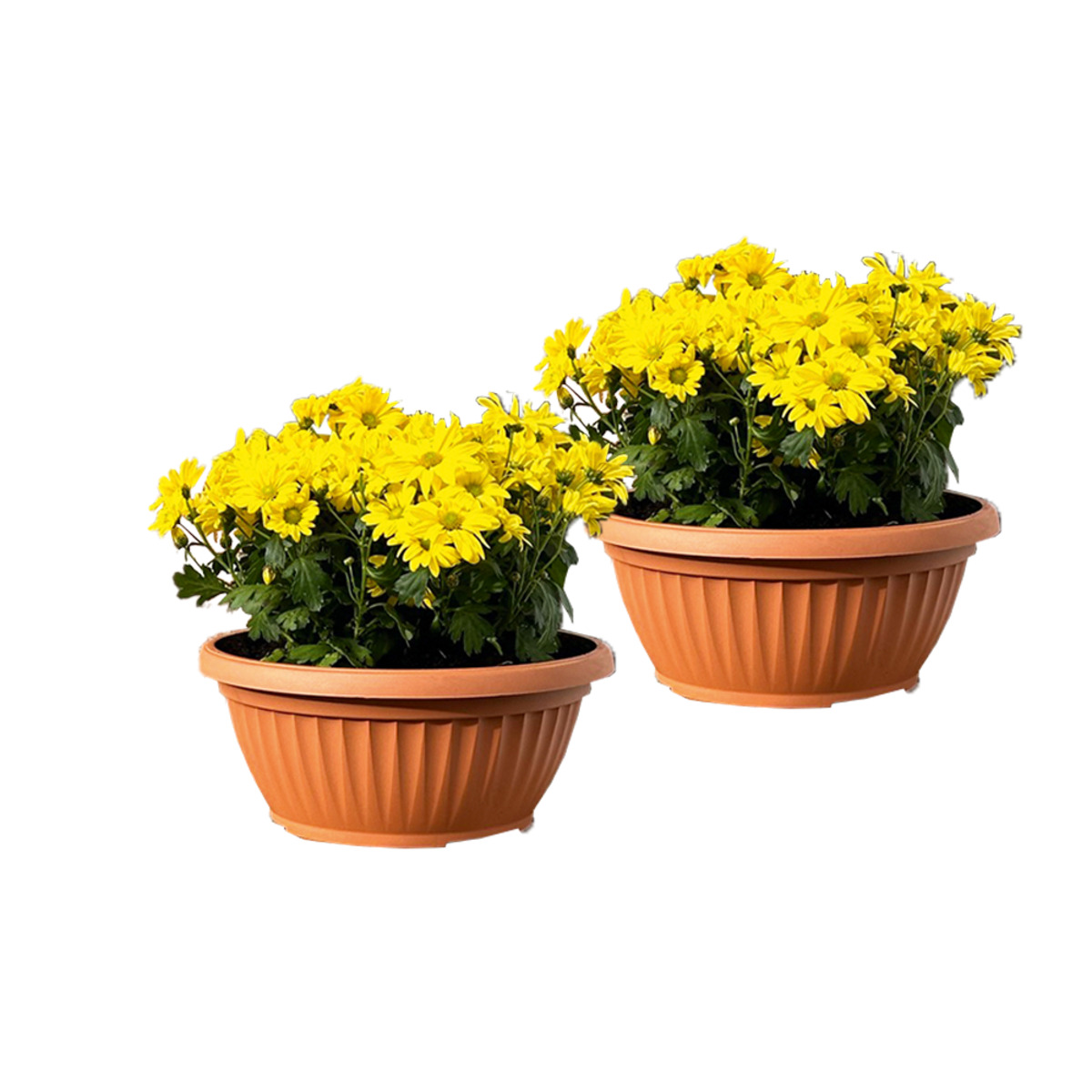 Bild 1 von Powertec Garden Pflanztopf "Lucca" - 2er-Set, rund, Terrakotta, je Ø ca. 30 cm