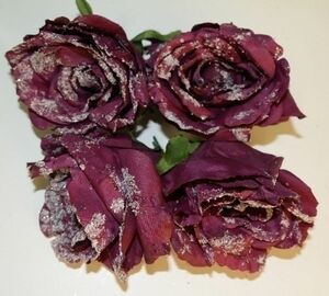 MyFlair 4er Set Rose gefrostet mit Clip Bordeaux