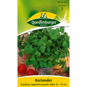 Quedlinburger Koriander 'Thüringer'