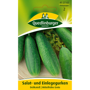 Quedlinburger Salat-/Einlegegurke 'Delikateß'