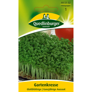 Quedlinburger Gartenkresse Glattblättrige