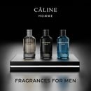 Bild 4 von Câline Homme Absolute Blue, EdT 60 ml