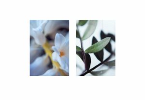HTI-Living Paravent »Paravent Blüten Mediterran« (1 Stück), Nur für den Innenbereich geeignet