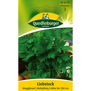 Quedlinburger Liebstock Maggikraut
