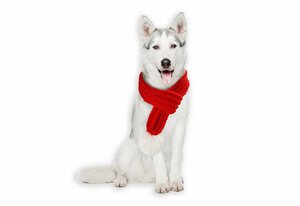 Monkimau Hunde-Halsband »Hundeschal für große Hunde warm loop in rot«, Acrylfasern