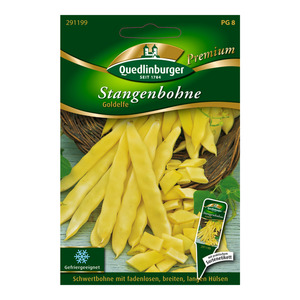 Quedlinburger Stangenbohne "Goldelfe" 8 Stück