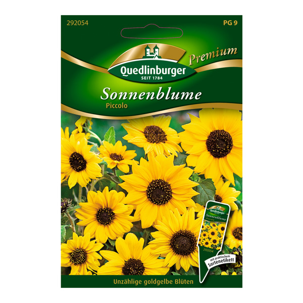 Bild 1 von Quedlinburger Sonnenblume "Piccolo" 80 Stück