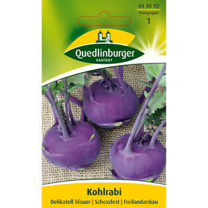 Quedlinburger Kohlrabi 'Delikateß blauer'