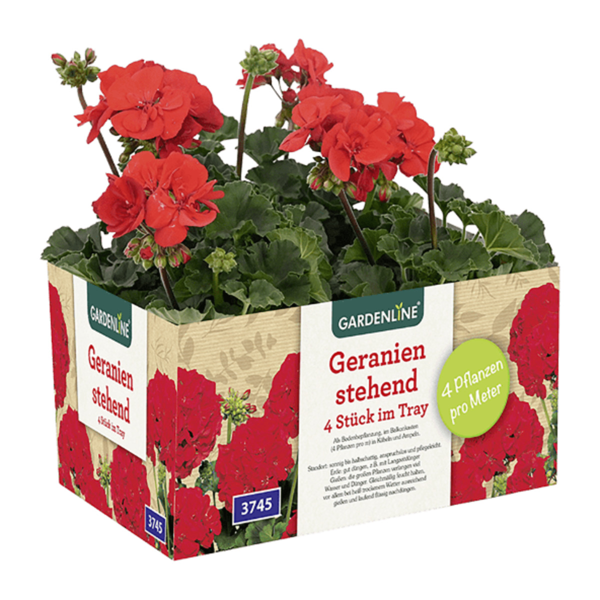 Bild 2 von GARDENLINE Geranien / Fuchsien