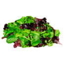 Bild 1 von Wildkräuter Salat