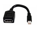 Bild 1 von HP Single miniDP-auf-DP-Adapter-Kabel