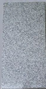 TrendLine Granit-Bodenfliese 30,5 x 61 x 1 cm, grau