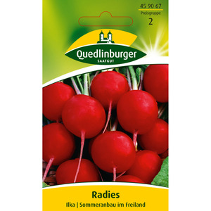 Quedlinburger Radies 'Ilka'