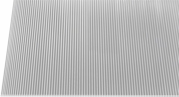 Bild 1 von guttagliss dual Hohlkammerplatten klar  2500 x 980 mm, 6 mm