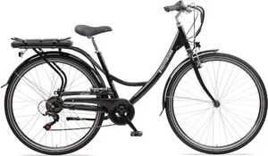 Teutoburg E-Bike »Senne«, 7 Gang, Shimano, Heckmotor 250 W