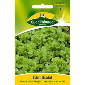 Quedlinburger Schnittsalat 'verde ricciolina da taglio'