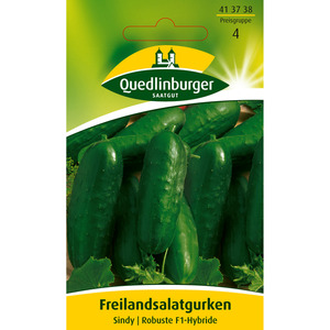 Quedlinburger Salatgurken 'Sindy'
