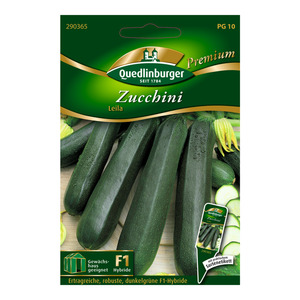 Quedlinburger Zucchini "Leila" 10 Stück
