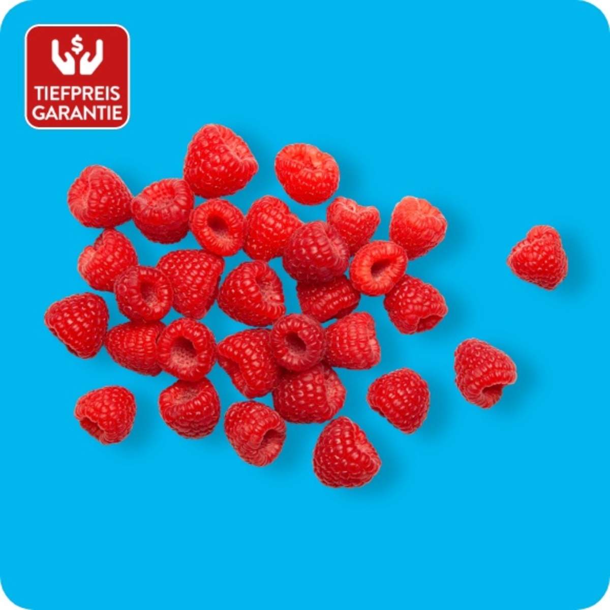 Bild 1 von Himbeeren, Ursprung: Spanien / Portugal / Marokko