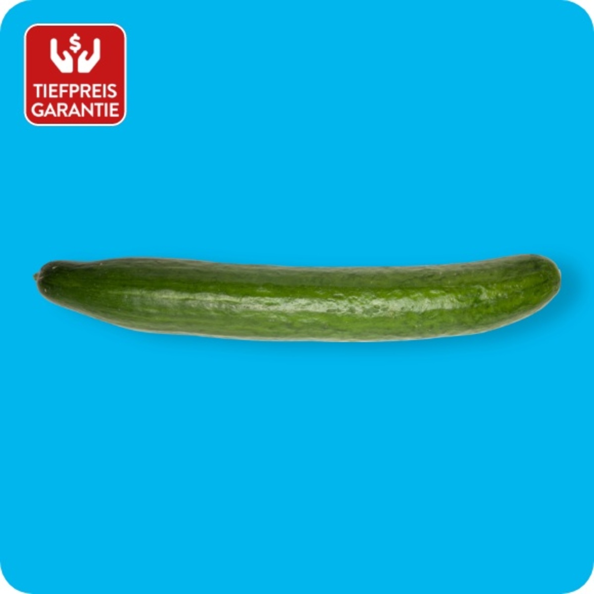 Bild 1 von Gurke, Ursprung: Deutschland / Niederlande / Spanien / Ungarn / Österreich