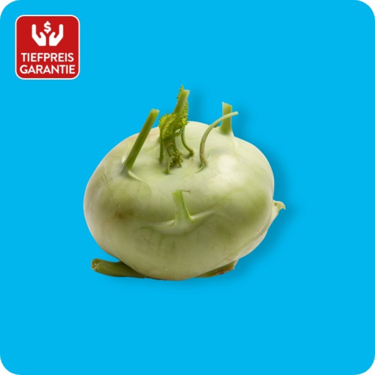 Bild 1 von Kohlrabi, Ursprung: Spanien / Italien / Portugal