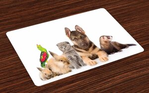 Platzset, »Waschbare Stoff Esszimmer Küche Tischdekorations Digitaldruck«, Abakuhaus, (4-teilig, 4 Teilig-St., Set aus 4x), Tier Hasen Hund Katze und Frettchen