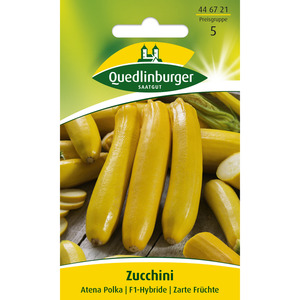 Quedlinburger Zucchini 'Atena Polka'